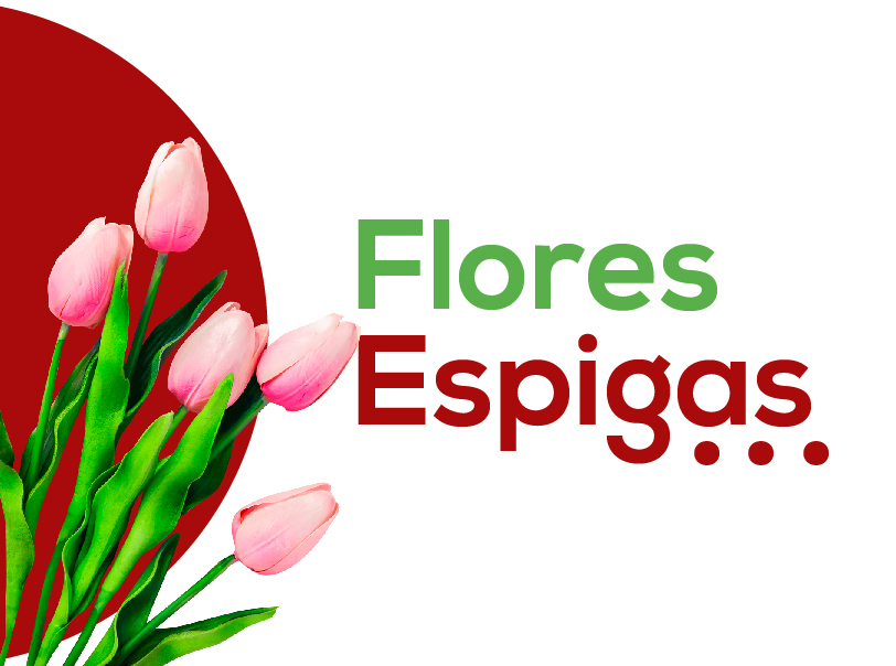 Flores/Espigas